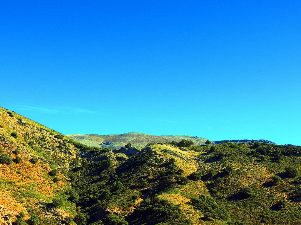Foto: Jarastepar - Atajate (Málaga), España