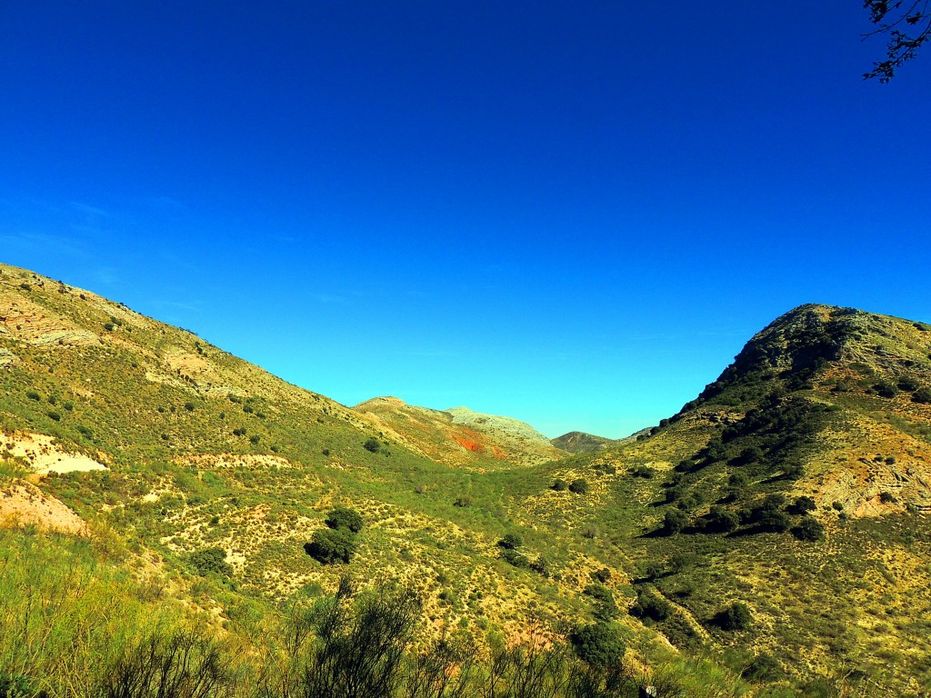 Foto: Puerto Encinas Borrachas - Atajate (Málaga), España