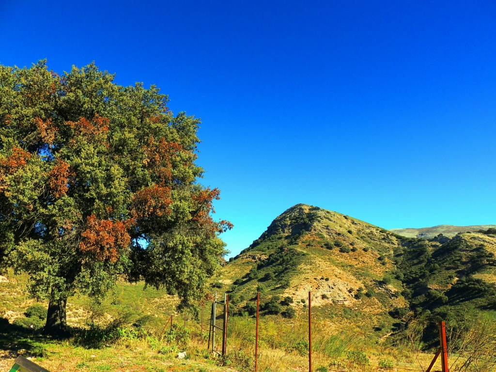Foto: Cerro del Fraile - Atajate (Málaga), España