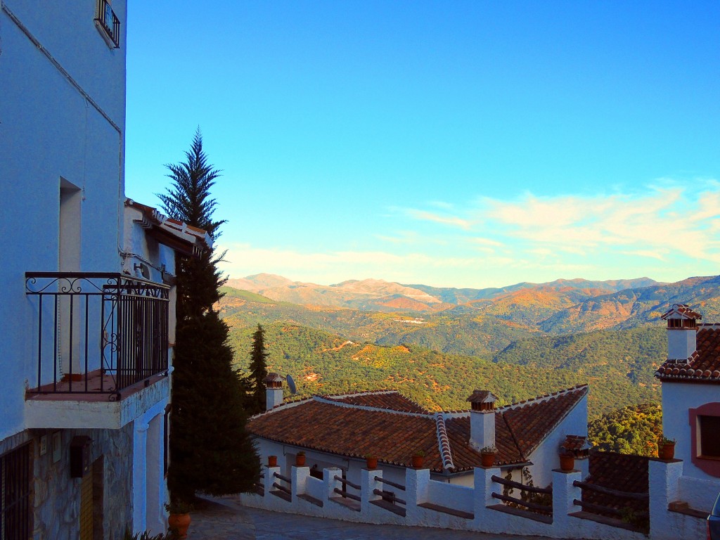 Foto: En la Sierra de Ronda - Benadalid (Málaga), España