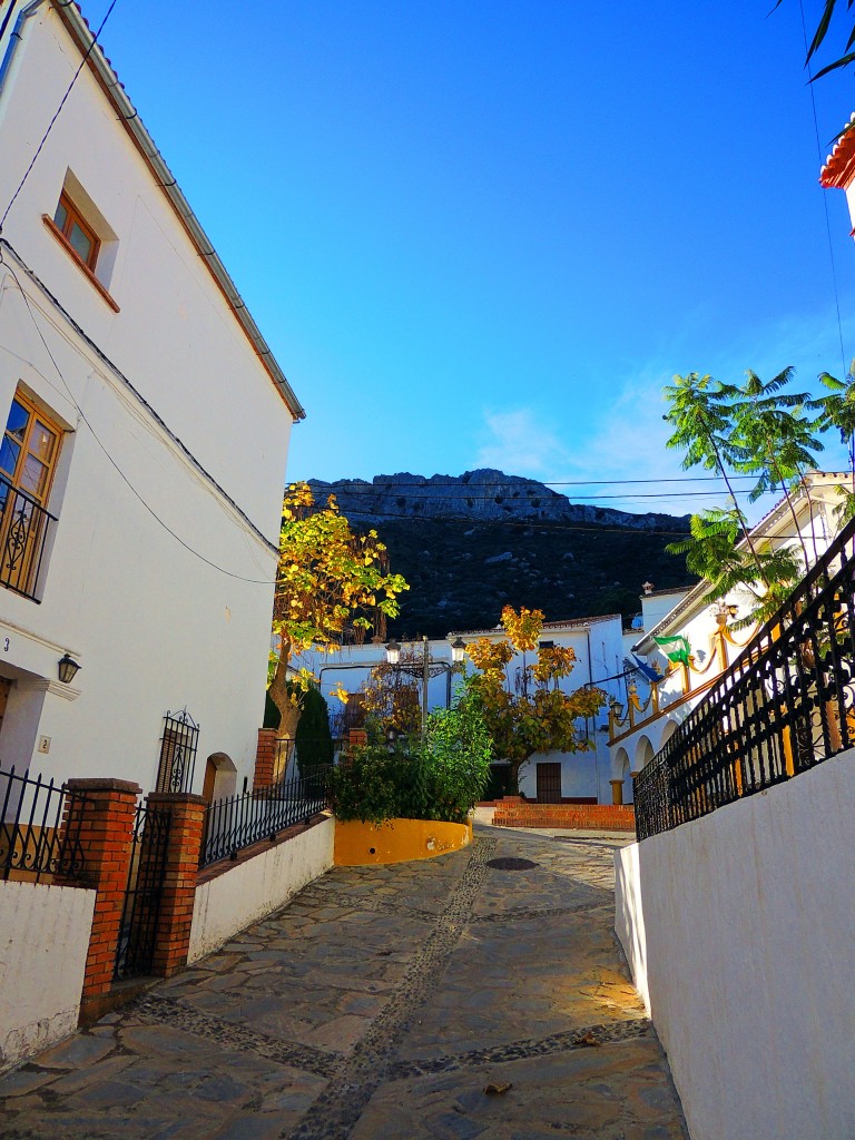 Foto: Rincones - Benadalid (Málaga), España