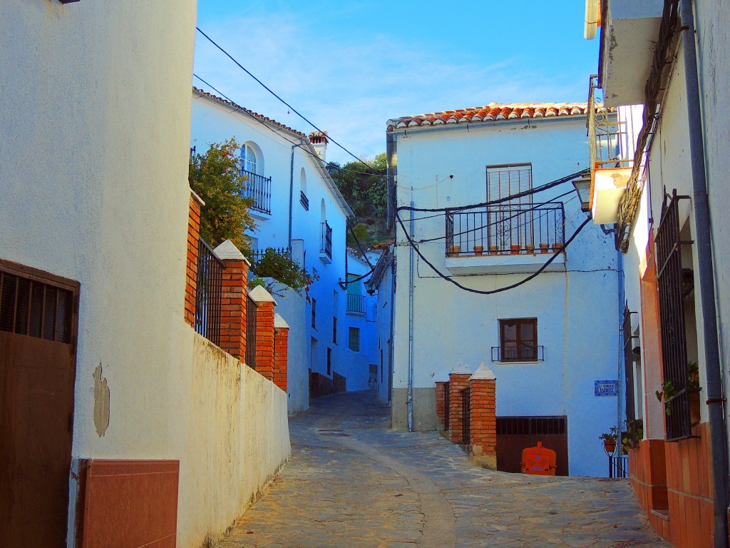 Foto: Calle Real - Benadalid (Málaga), España