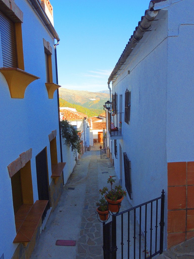 Foto: Calle Vazquez - Benadalid (Málaga), España