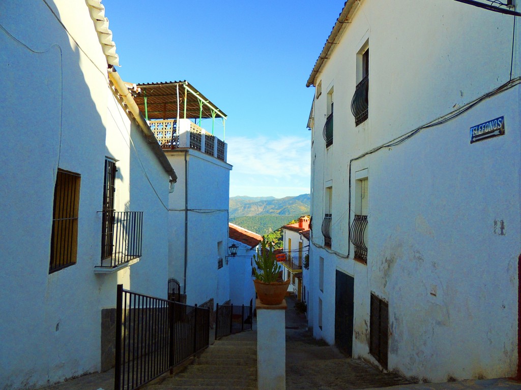 Foto: Calle Horno - Benadalid (Málaga), España