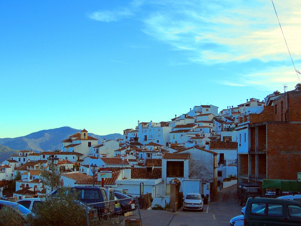 Foto: Panorámica de Benalauria - Benalauria (Málaga), España