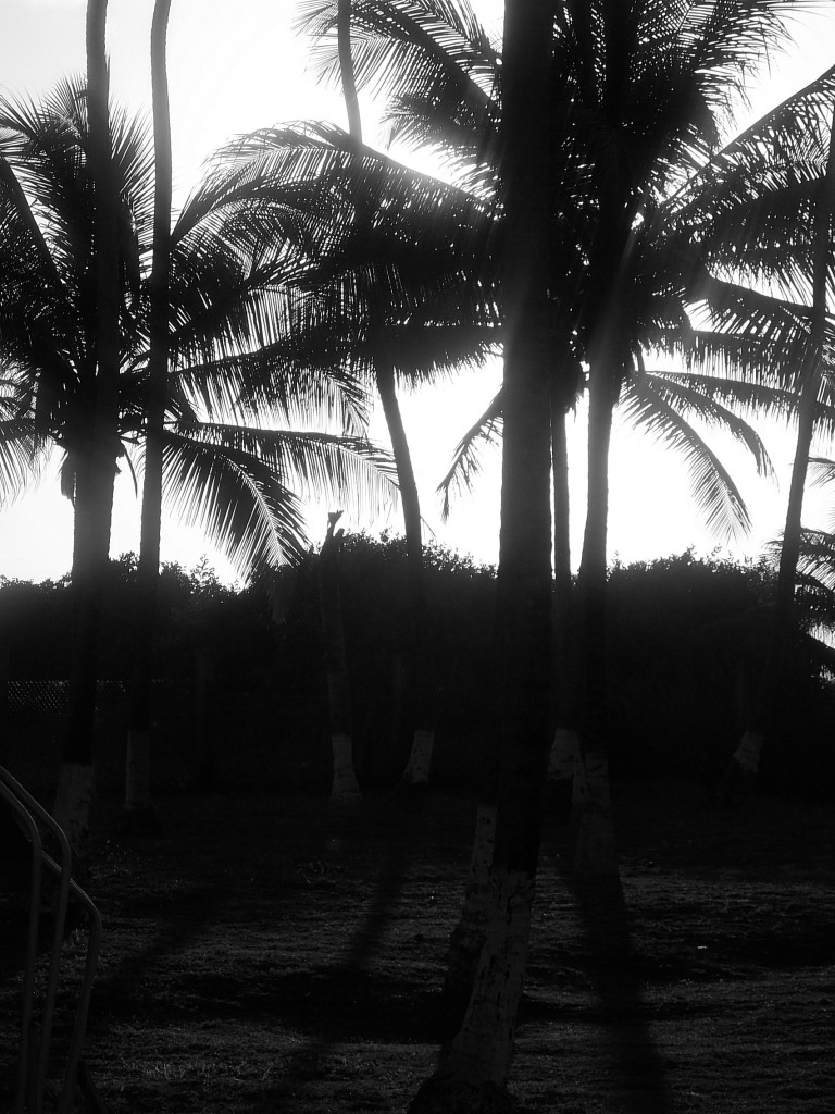 Foto de Boca de Aroa (Falcón), Venezuela