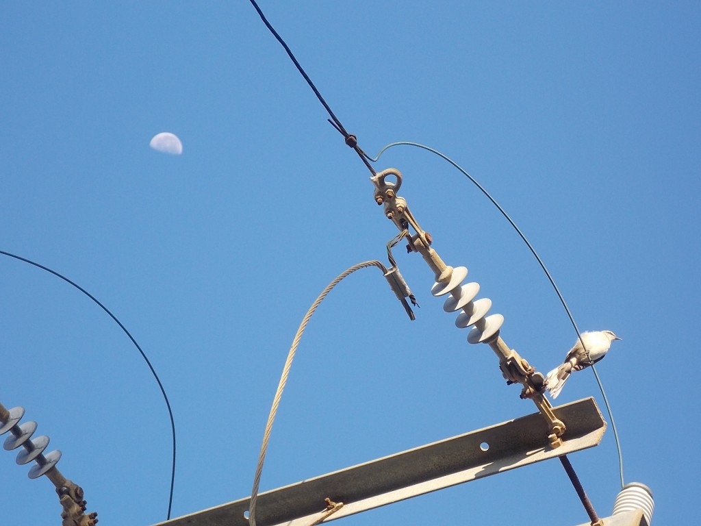 Foto de Boca de Aroa (Falcón), Venezuela
