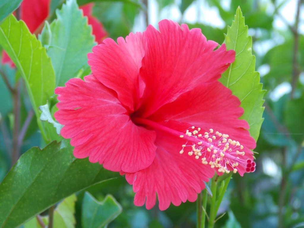 Foto de Boca de Aroa (Falcón), Venezuela