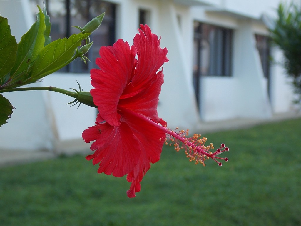 Foto de Boca de Aroa (Falcón), Venezuela