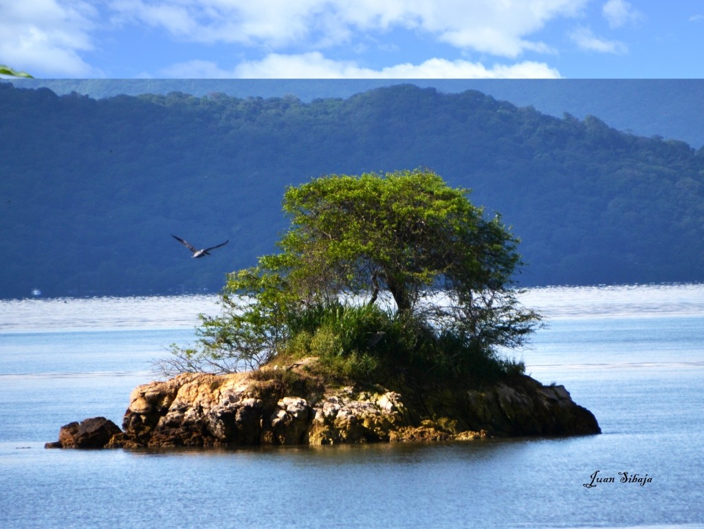 Foto de Cocorocas (Puntarenas), Costa Rica