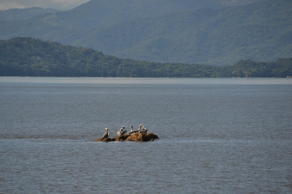 Foto de Cocorocas (Puntarenas), Costa Rica