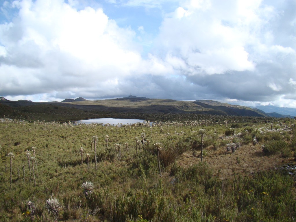 Foto: Páramo Lagunas de los Buitrago - La Calera (Cundinamarca), Colombia