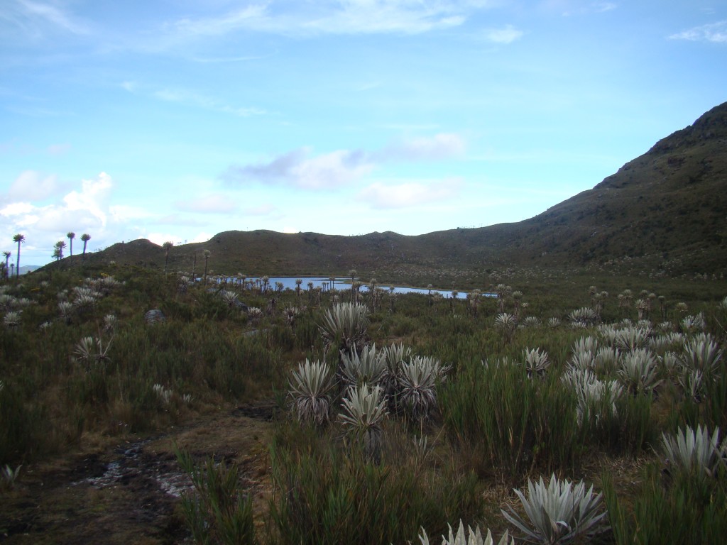 Foto: Laguna de los Buitrago - Paramo de Chingaza (Cundinamarca), Colombia
