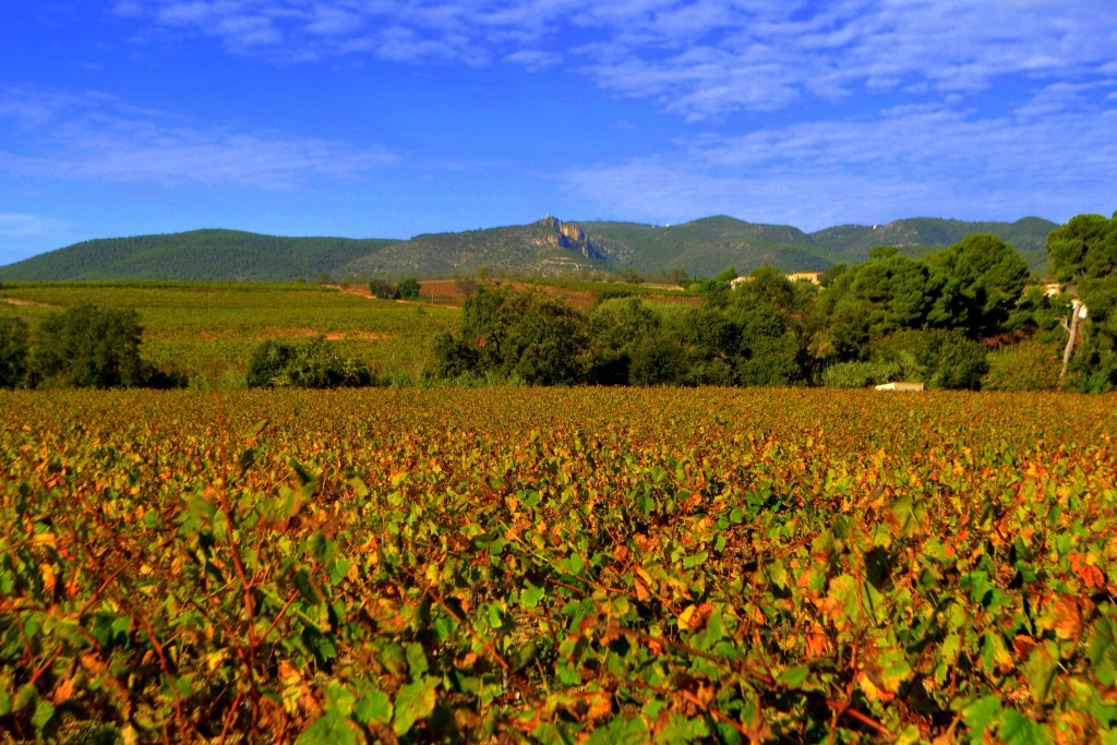 Foto de Castellví de la Marca (Barcelona), España