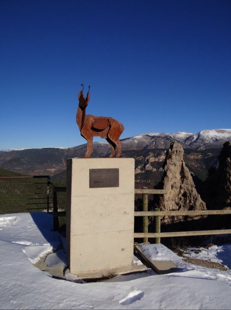 Foto: Coll de Port - Coll de Port (Lleida), España