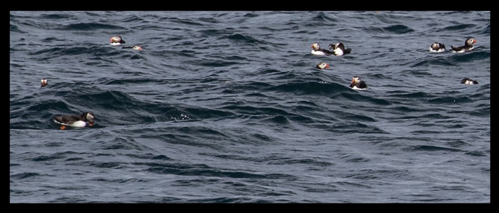 Foto de Scotland, El Reino Unido
