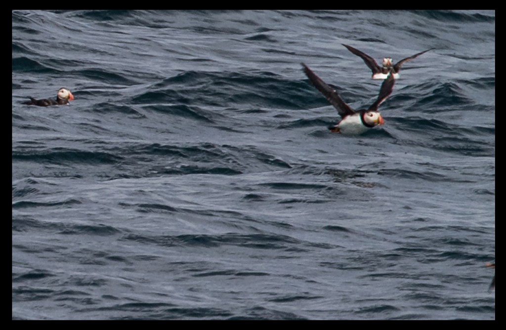 Foto de Scotland, El Reino Unido