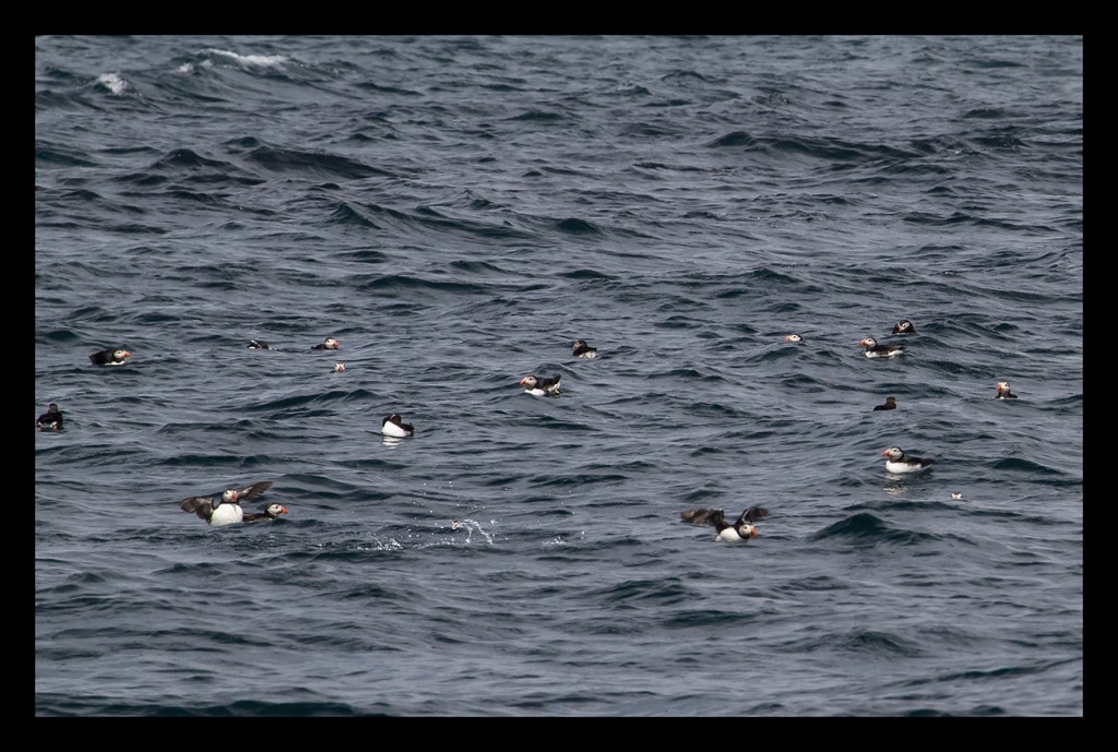 Foto de Scotland, El Reino Unido
