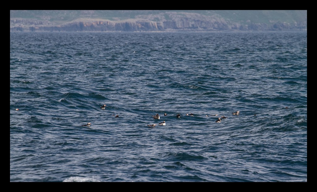 Foto de Scotland, El Reino Unido