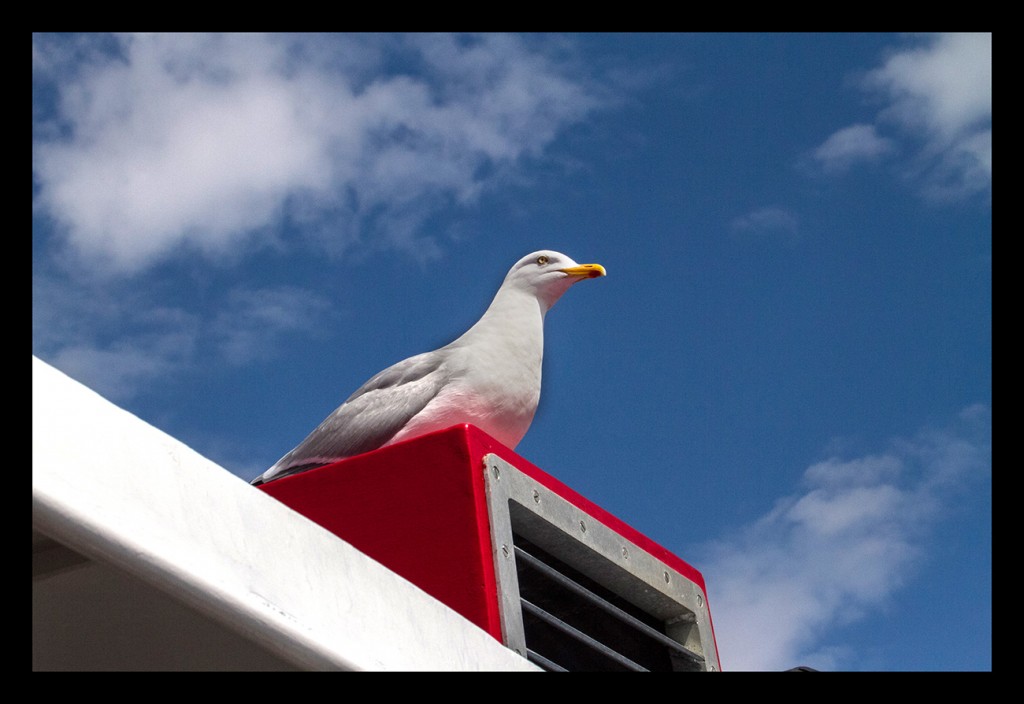 Foto de Iona (Scotland), El Reino Unido