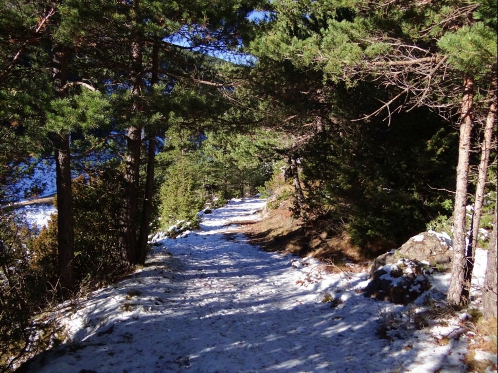 Foto: Coll de Port - Coll de Port (Lleida), España