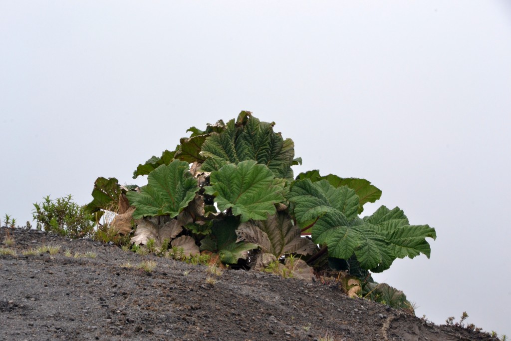 Foto de Cartago, Costa Rica