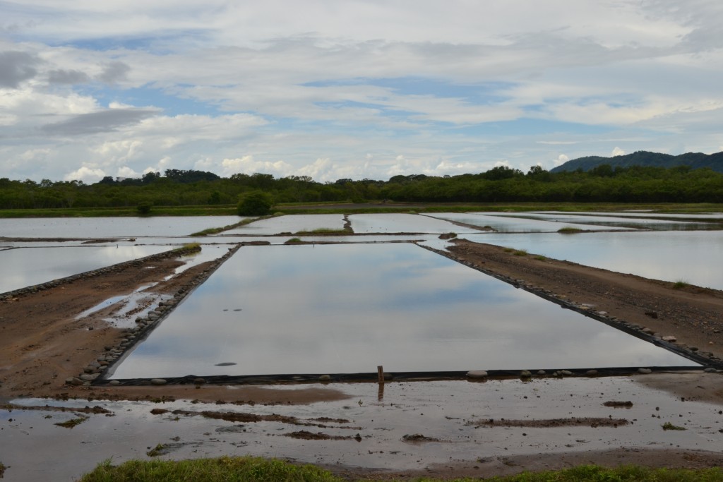 Foto de Corococoas (Puntarenas), Costa Rica