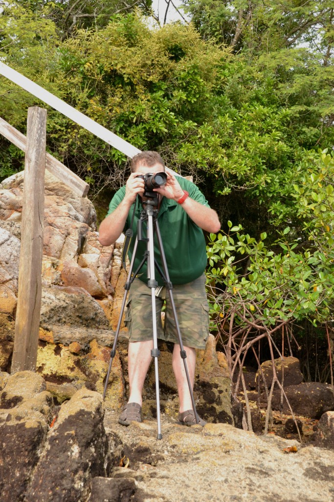 Foto: Fotógrafo ocupada - Corococoas (Puntarenas), Costa Rica