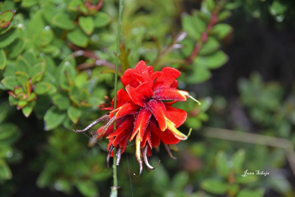 Foto de Cartago, Costa Rica
