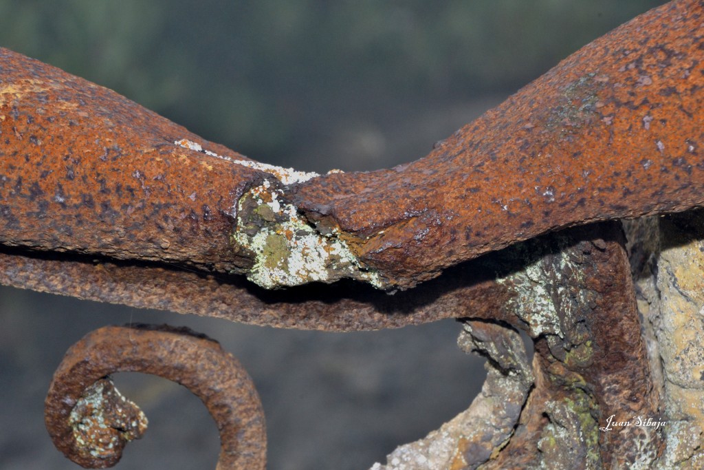 Foto de Cartago, Costa Rica