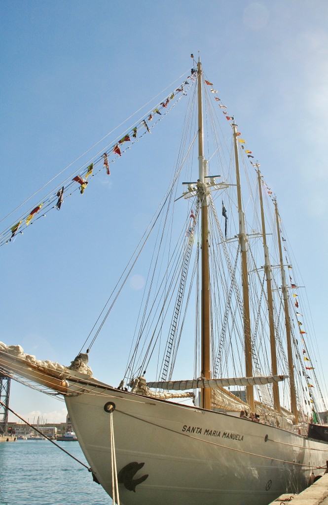Foto: Puerto: reunión de veleros - Barcelona (Cataluña), España