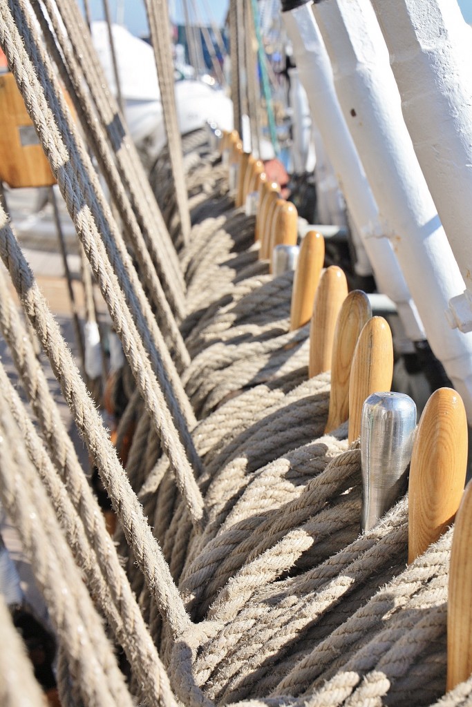 Foto: Puerto: reunión de veleros - Barcelona (Cataluña), España