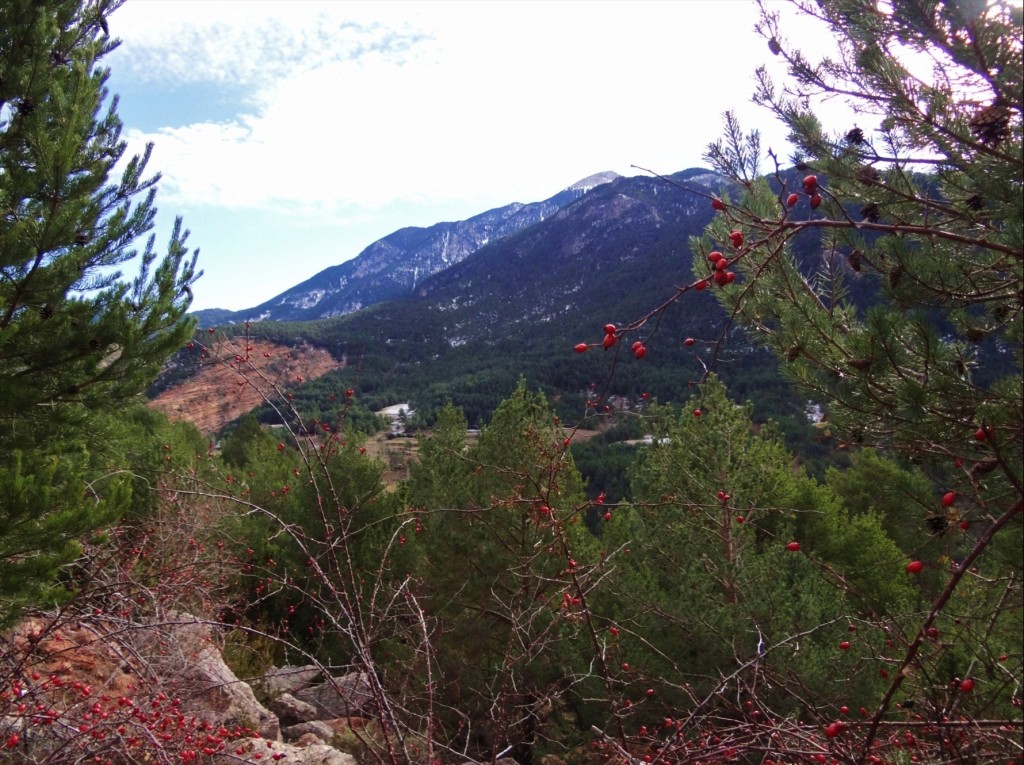 Foto: Mirador de l'Espà - Gósol (Lleida), España