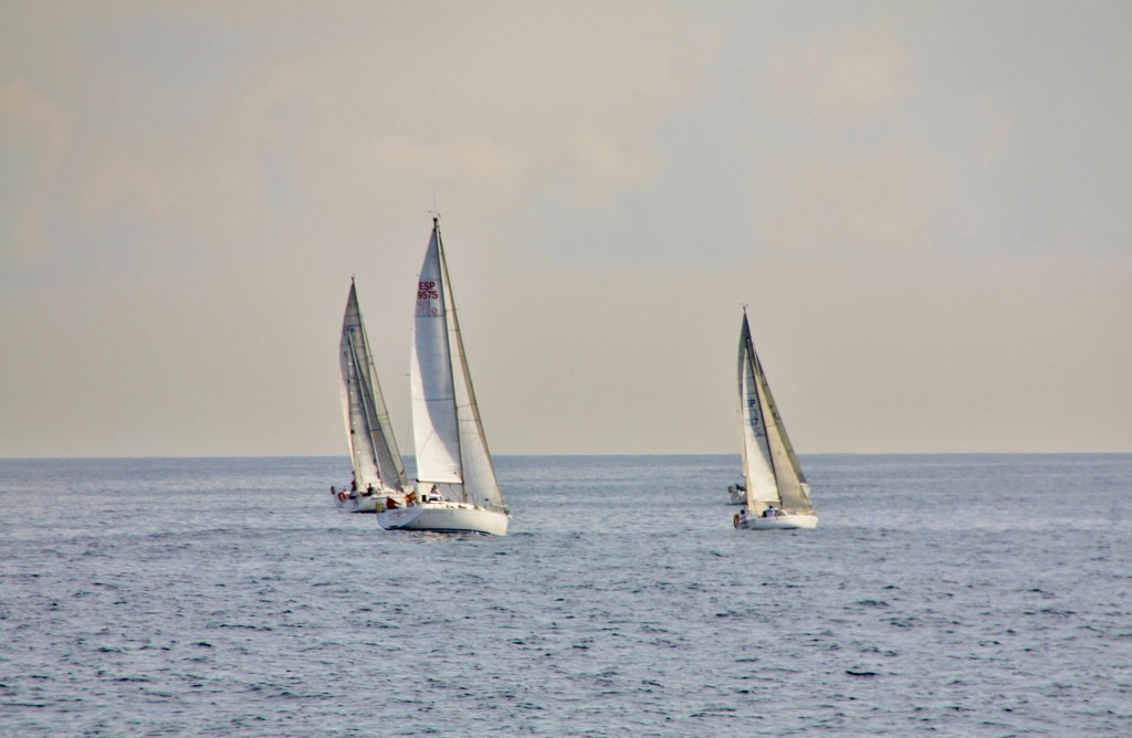 Foto: Regatas - Barcelona (Cataluña), España