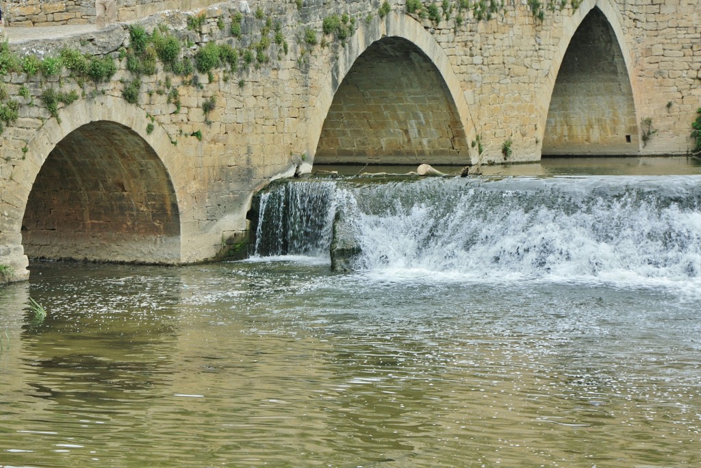 Foto: Rio Zadorra - La Puebla de Arganzón (Burgos), España