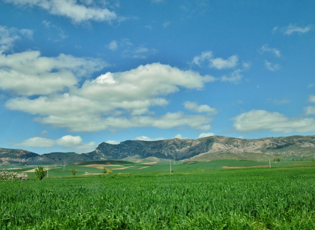 Foto: Paisaje - Pancorbo (Burgos), España