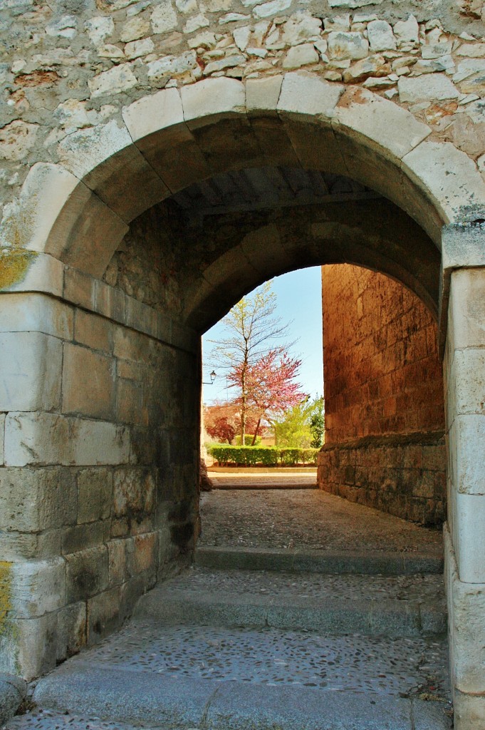 Foto: Centro histórico - Lerma (Burgos), España