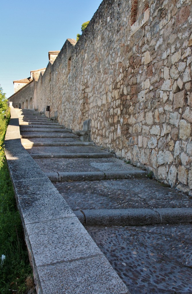 Foto: Murallas - Lerma (Burgos), España