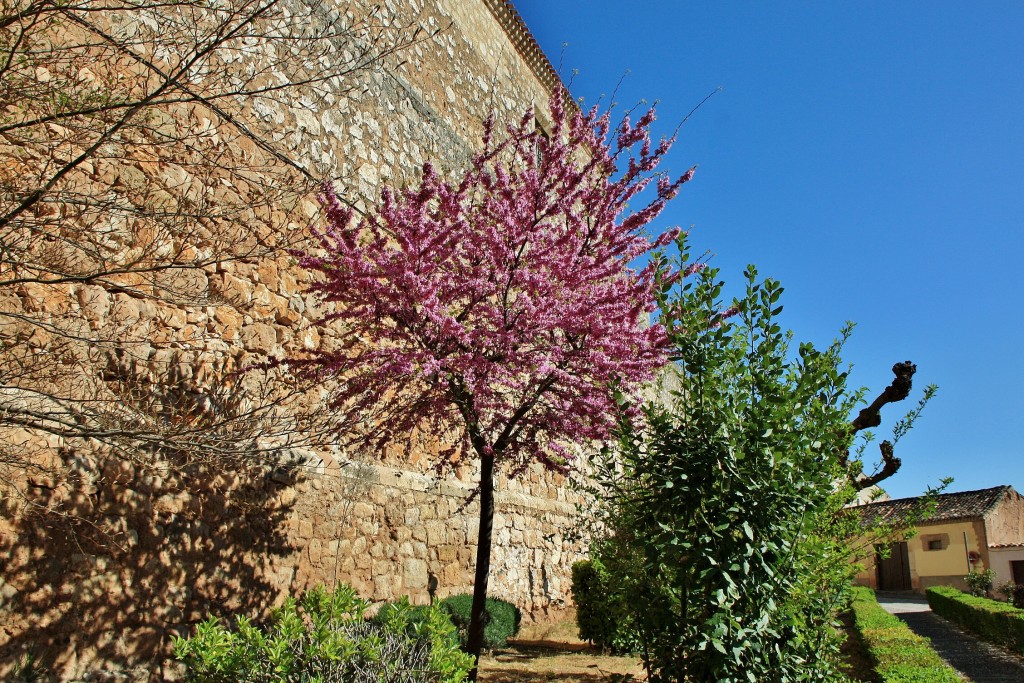 Foto: Centro histórico - Lerma (Burgos), España