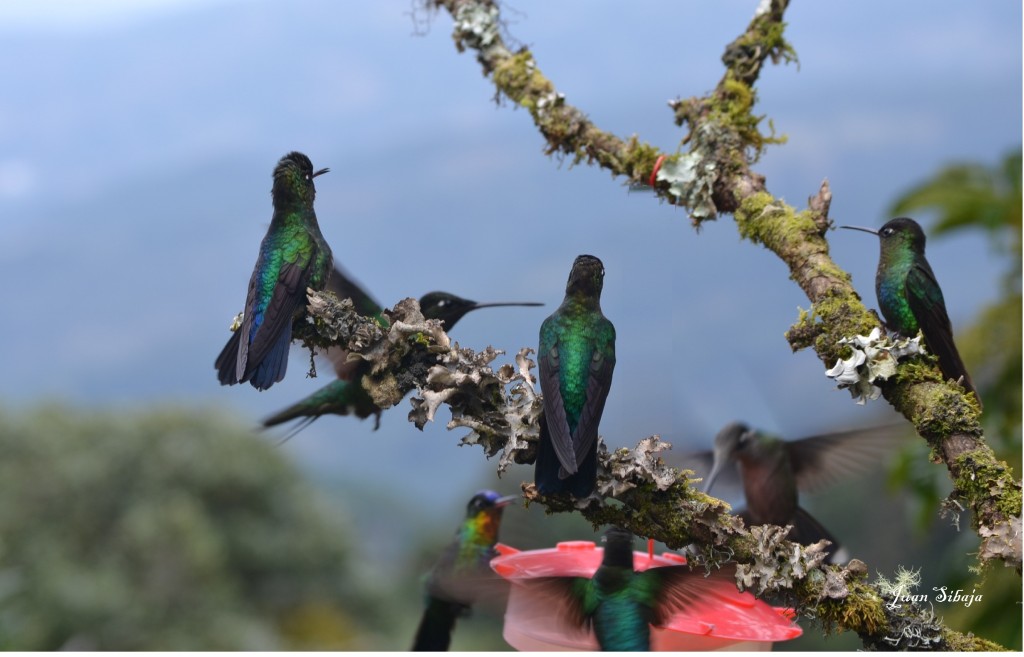 Foto de Vara Blanca (Alajuela), Costa Rica