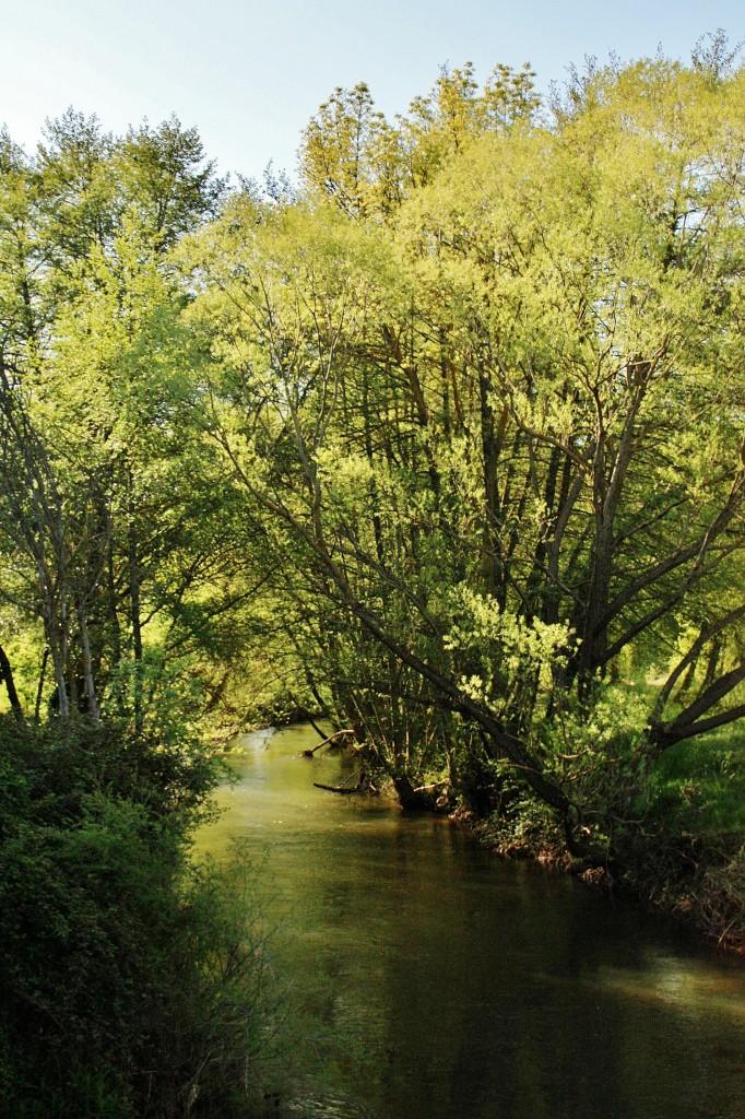 Foto: Rio Arlanza - Covarrubias (Burgos), España