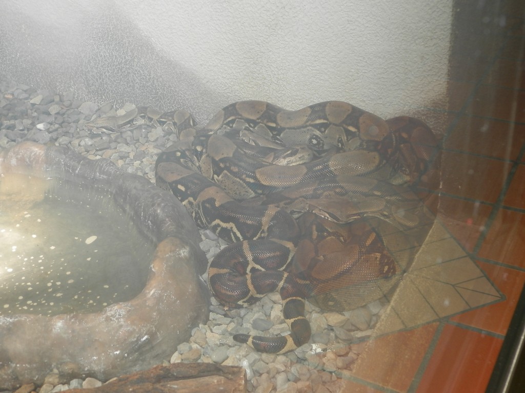 Foto: Parque Jaime Duque - Bogotá, Colombia