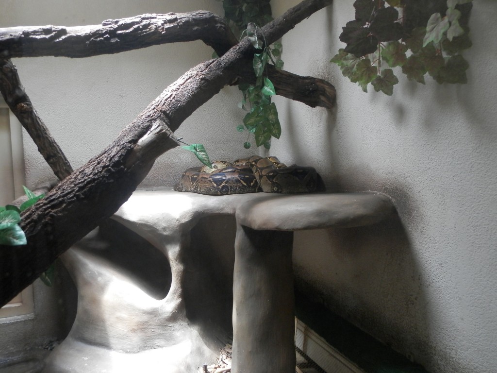 Foto: Parque Jaime Duque - Bogotá, Colombia