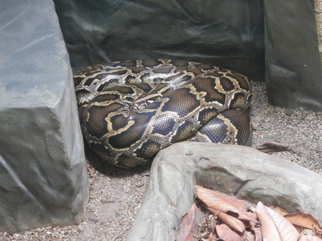 Foto: Parque Jaime Duque - Bogotá, Colombia