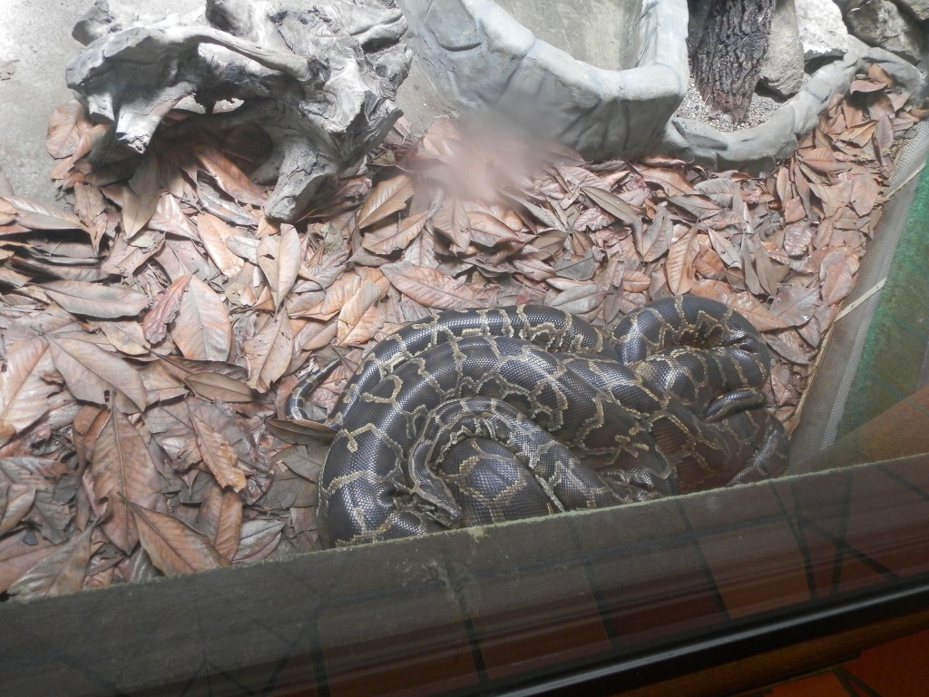 Foto: Parque Jaime Duque - Bogotá, Colombia