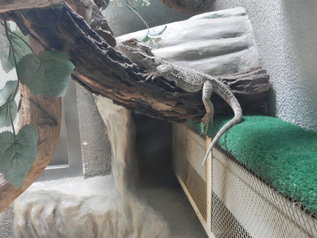 Foto: Parque Jaime Duque - Bogotá, Colombia