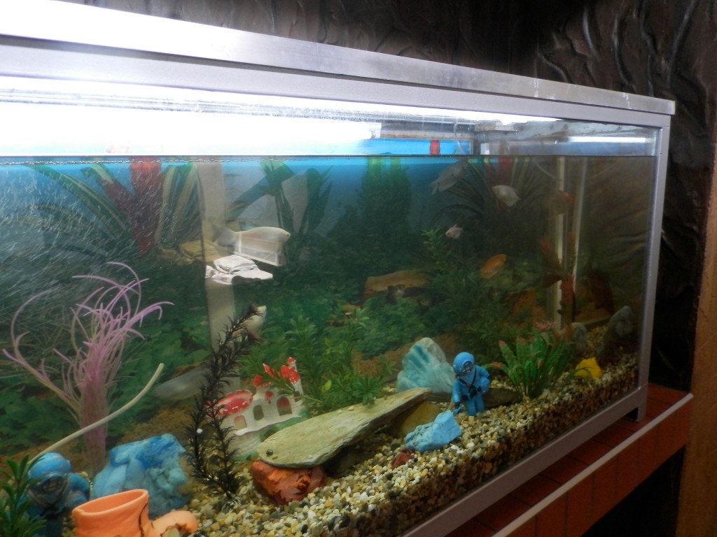 Foto: Parque Jaime Duque - Bogotá, Colombia