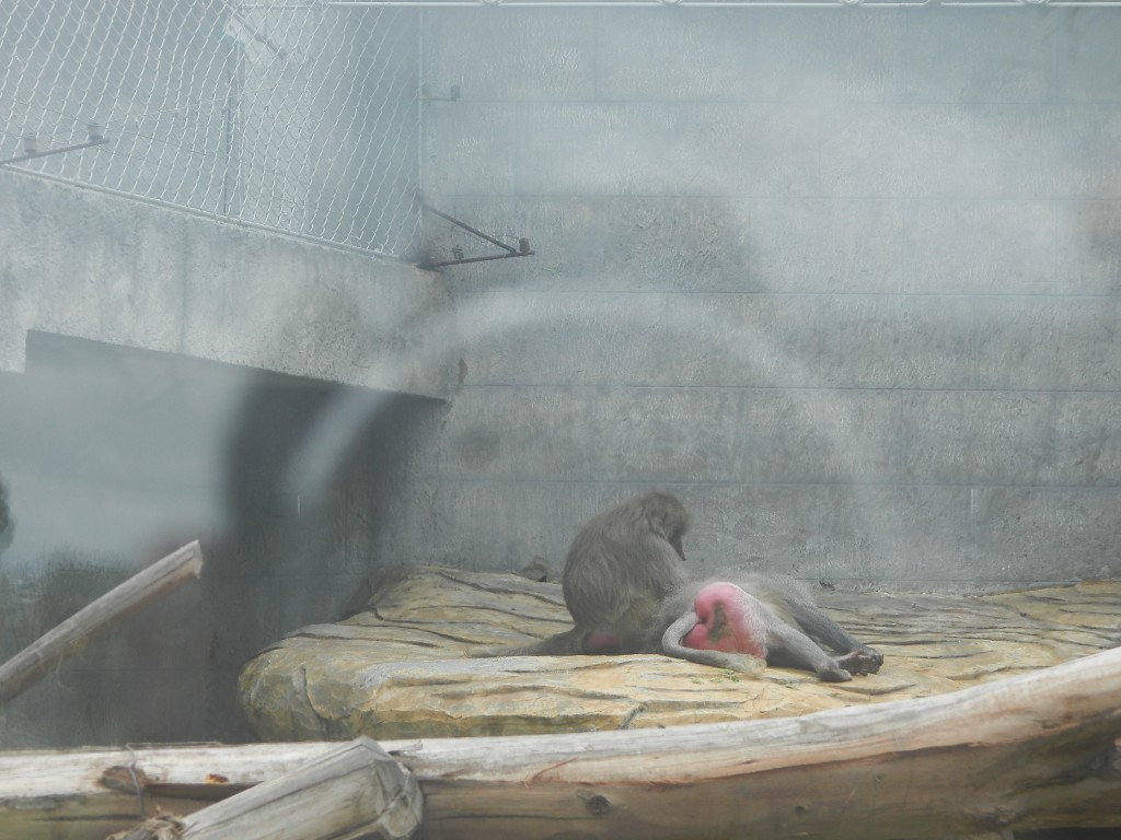 Foto: Parque Jaime Duque - Bogotá, Colombia