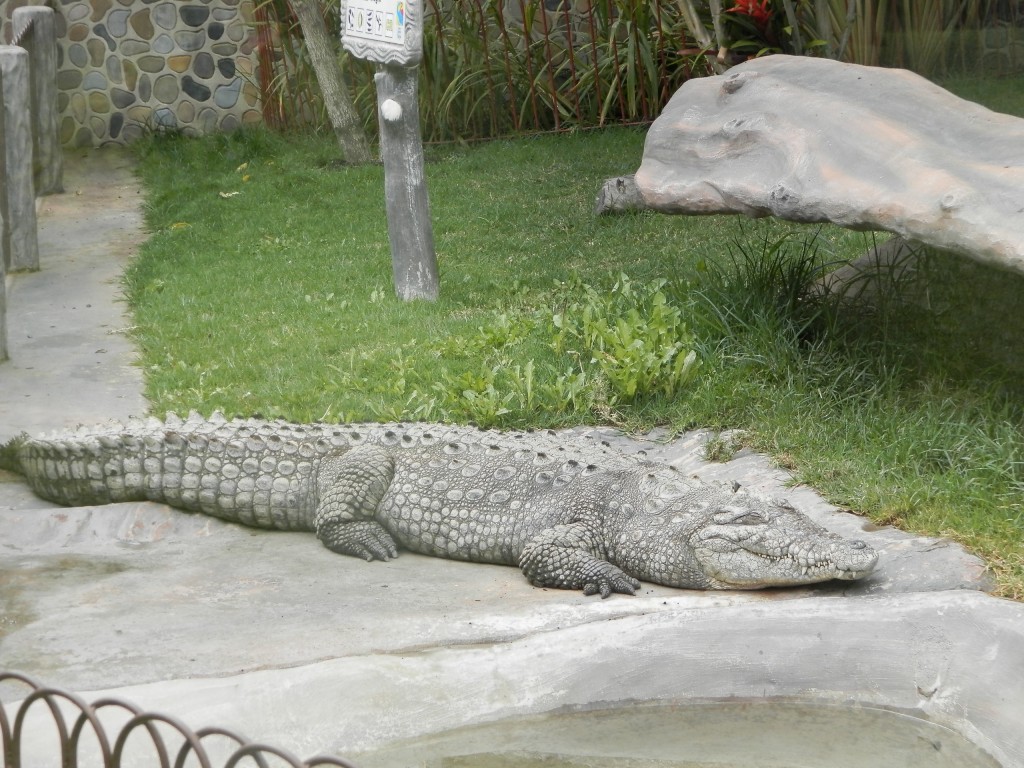 Foto: Parque Jaime Duque - Bogotá, Colombia
