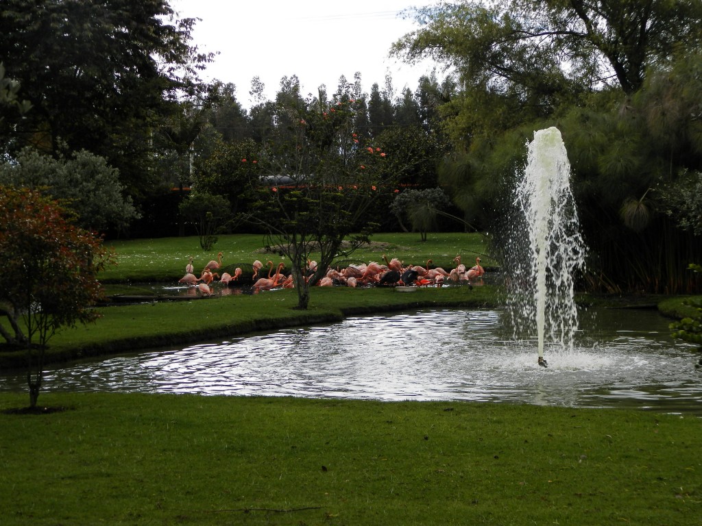 Foto: Parque Jaime Duque - Bogotá, Colombia